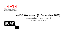 Dutch e-IRG semester Workshop